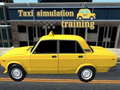 Mchezo Taxi simulation training
