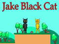 Mchezo Jake Black Cat