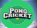 Mchezo Pong Cricket