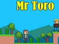 Mchezo Mr Toro