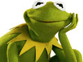 Mchezo Coloring Book For Kermit the Frog 