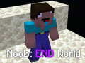 Mchezo Noob: End World