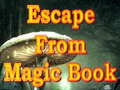 Mchezo Escape From Magic Book