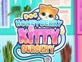 Mchezo Doc HoneyBerry Kitty Surgery