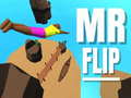 Mchezo Mr Flip