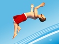Mchezo Flip Divers