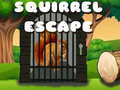 Mchezo Squirrel Escape