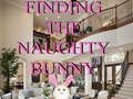 Mchezo Finding The Naughty Bunny