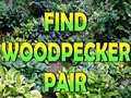 Mchezo Find Woodpecker Pair 
