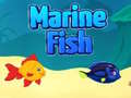 Mchezo Marine Fish