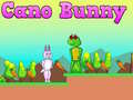 Mchezo Cano Bunny