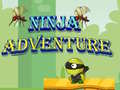 Mchezo Ninja Adventure