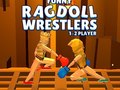 Mchezo Funny Ragdoll Wrestlers