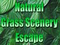 Mchezo Natural Grass Scenery Escape