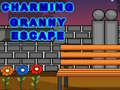 Mchezo Charming Granny Escape