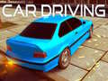 Mchezo Car Driving