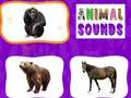 Mchezo Animal Sounds