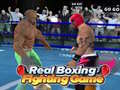 Mchezo Real Boxing Fighting Game