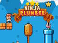 Mchezo Ninja Plumber