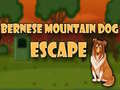 Mchezo Bernese Mountain Dog Escape