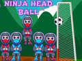 Mchezo Ninja Head Ball