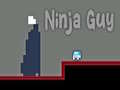 Mchezo Ninja Guy