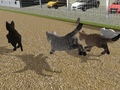 Mchezo Run Cat Cat Race