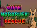 Mchezo Cute Nabarlek Rescue
