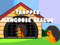 Mchezo Trapped Mangoose Rescue