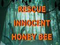 Mchezo Rescue Innocent Honey Bee 