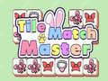 Mchezo Tile Match Master