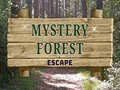 Mchezo Mystery Forest