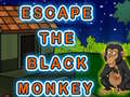 Mchezo Escape The Black Monkey