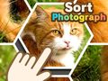 Mchezo Sort Photograph