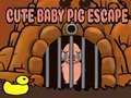 Mchezo Cute baby Pig escape