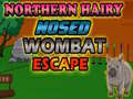 Mchezo Northern hairy nosed wombat Escape