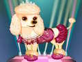 Mchezo My Cute Dog Daisy