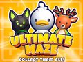 Mchezo Ultimate Maze! Collect Them All!