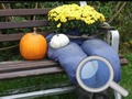 Mchezo Autumn Garden Find 100 butterflies