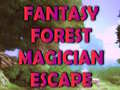 Mchezo Fantasy Forest Magician Escape