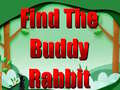 Mchezo Find The Buddy Rabbit