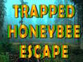 Mchezo Trapped Honeybee Escape