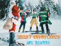 Mchezo Ski Resort Hidden Snowflakes