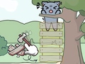 Mchezo Catch The Cat
