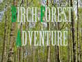 Mchezo Birch Forest Adventure