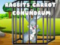 Mchezo Rabbits Carrot Conundrum