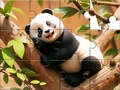 Mchezo Jigsaw Puzzle: Panda On Tree