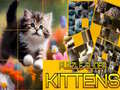 Mchezo Puzzle Sliding Kittens