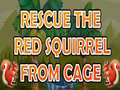 Mchezo Rescue The Red Squirrel From Cage