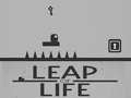 Mchezo Leap of Life